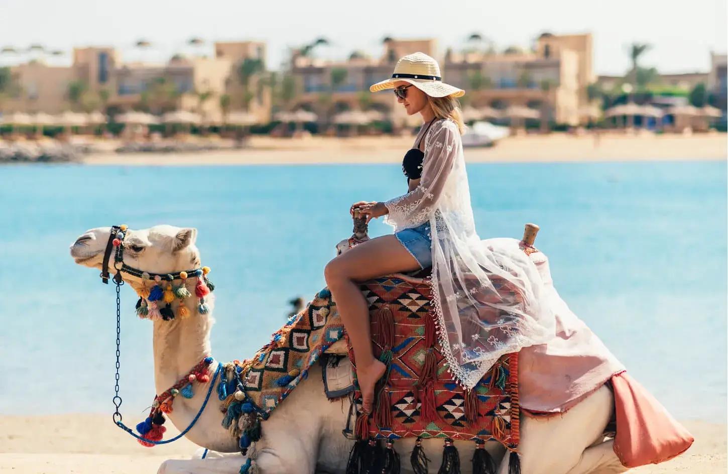 Onze Jours en Égypte: Du Sable des Pharaons aux eaux de la mer Rouge